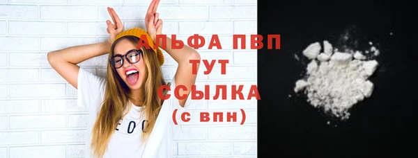 a pvp Новозыбков
