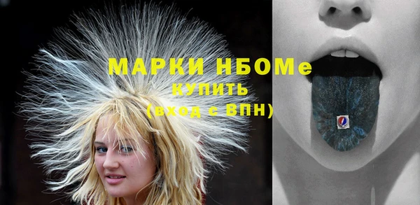 a pvp Новозыбков