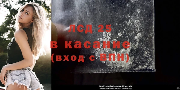 a pvp Новозыбков