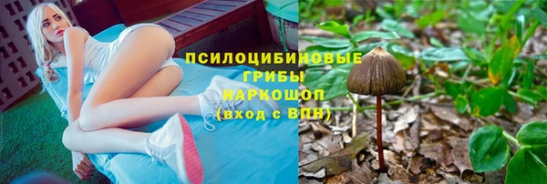 мяу мяу мука Галич
