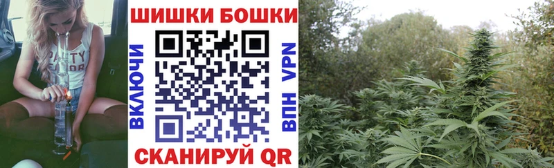 Бошки марихуана семена  блэк спрут зеркало  Ипатово  наркотики 